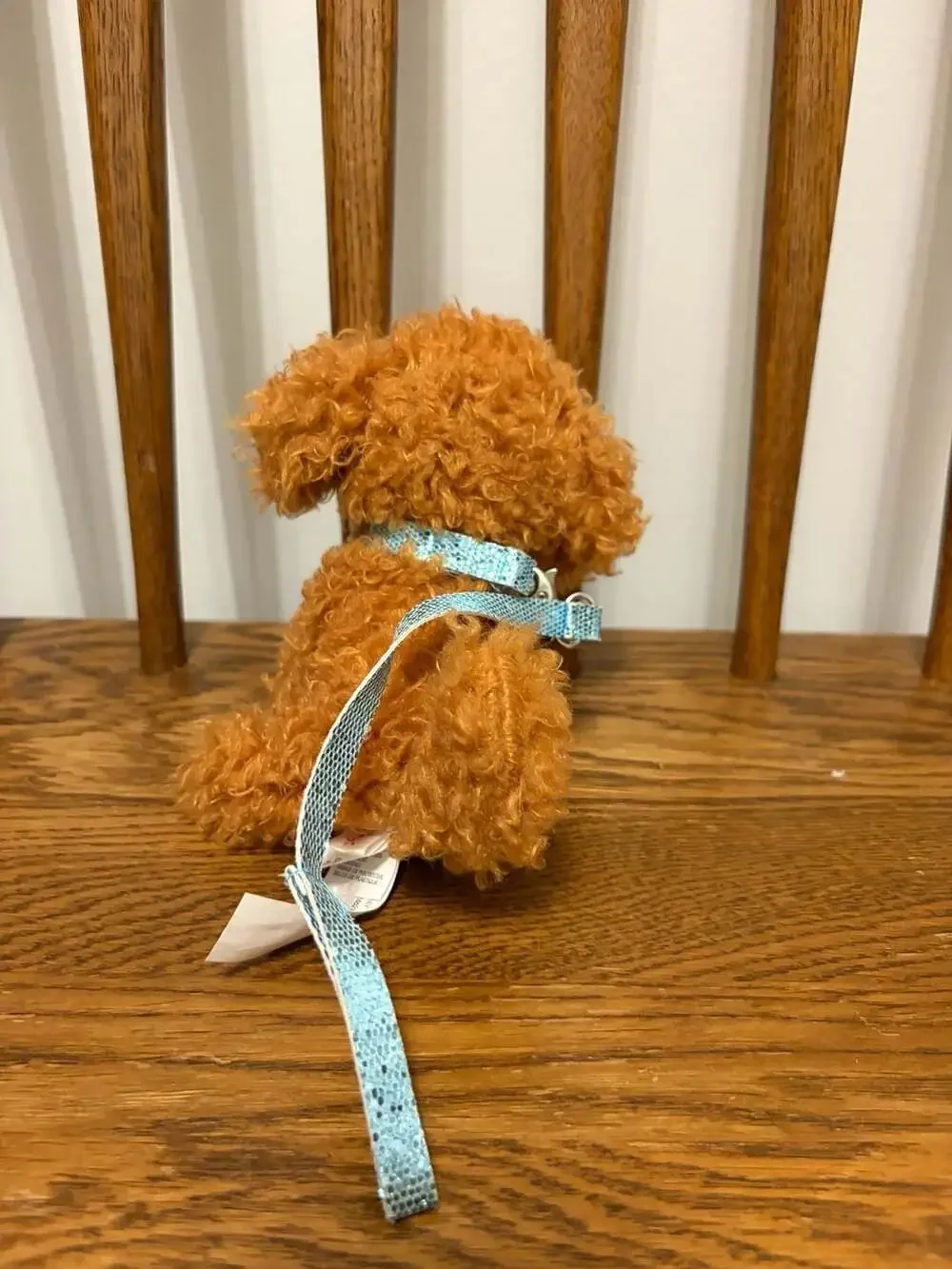 Justice adorable brown
